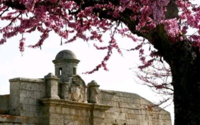 Um Destino para Investir com Alma