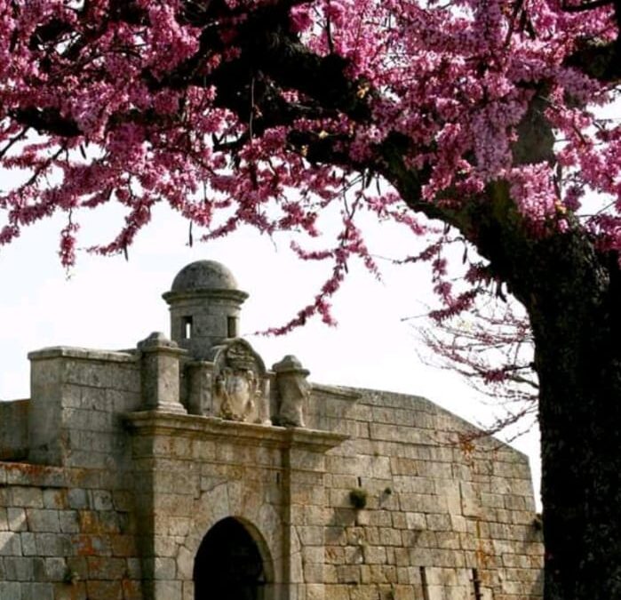 Um Destino para Investir com Alma